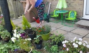 BC&FB Buttercup sans bra Gardening D Watering the Plants