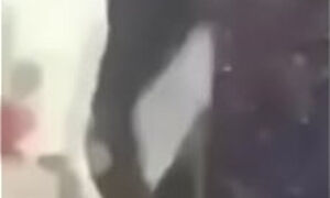 on my block young gangsta shi