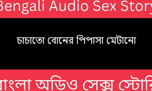 Desi Riya Bengali Audio Story