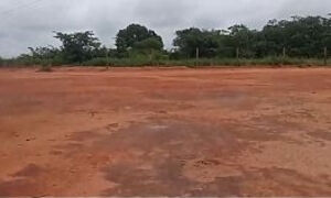 Risky Road Trip to Rio: Hotwife Flashes Ass on Farm Gate, Pisses in Cane Field &amp_ Gets RAW Creampie in Public!