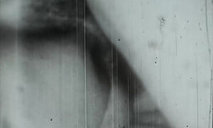 Vintage Porn Retro Erotic Theatre - Making Love at the Cabin